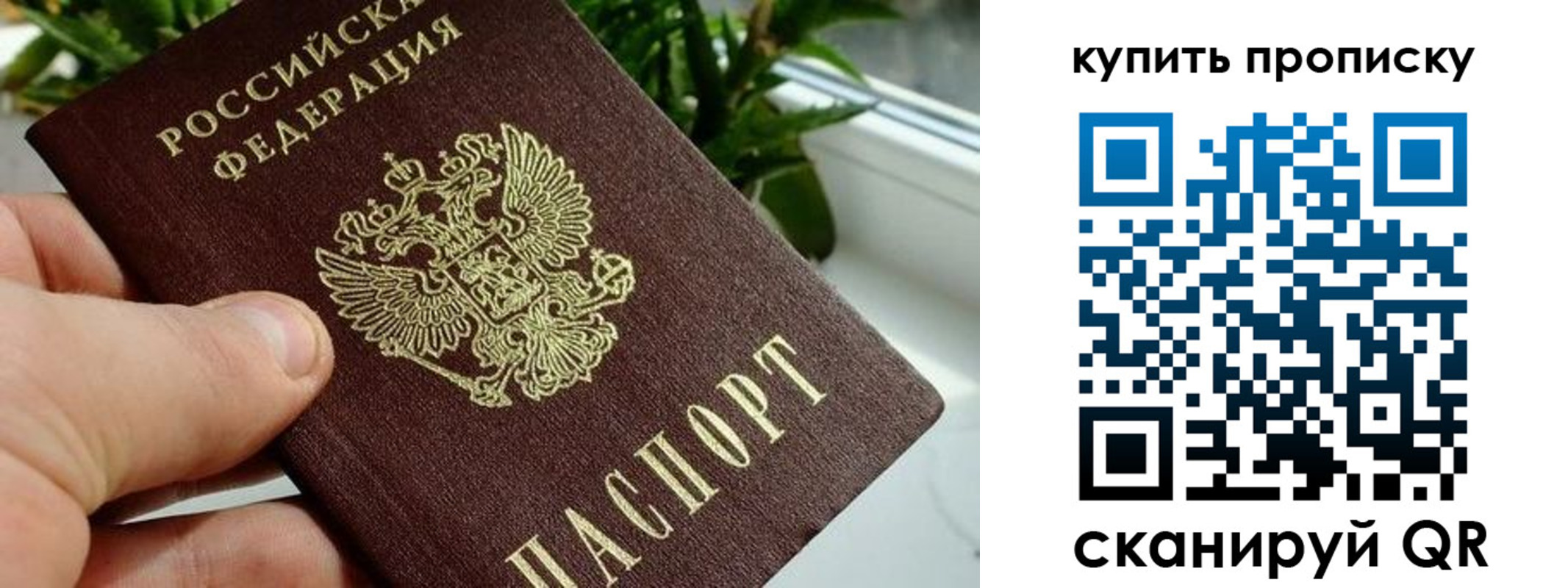 прописка для военкомата в Находке